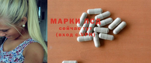 ПСИЛОЦИБИНОВЫЕ ГРИБЫ Белокуриха