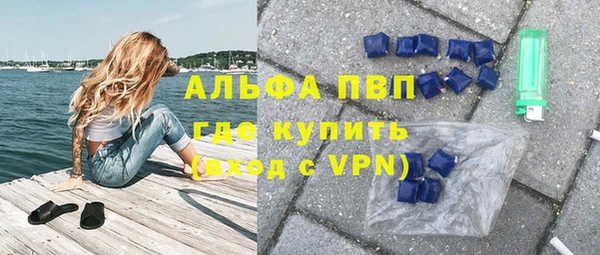 ПСИЛОЦИБИНОВЫЕ ГРИБЫ Белокуриха