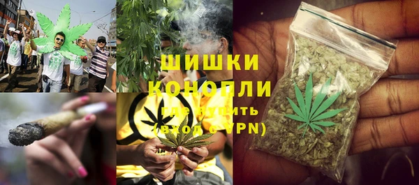 ПСИЛОЦИБИНОВЫЕ ГРИБЫ Белокуриха