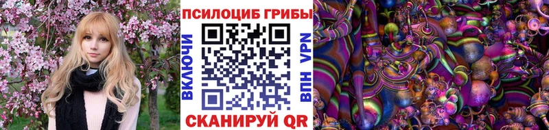 Галлюциногенные грибы Psilocybe  МЕГА зеркало  Боровичи 